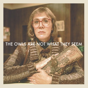 the owls are not what they seem